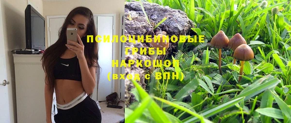 дживик Абинск