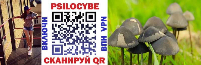 hydra ССЫЛКА  где найти наркотики  Янаул  Псилоцибиновые грибы Psilocybine cubensis 