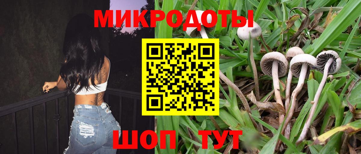 продажа наркотиков  Вход с VPN  Янаул  Псилоцибиновые грибы Cubensis  Галлюциногенные грибы Cubensis 