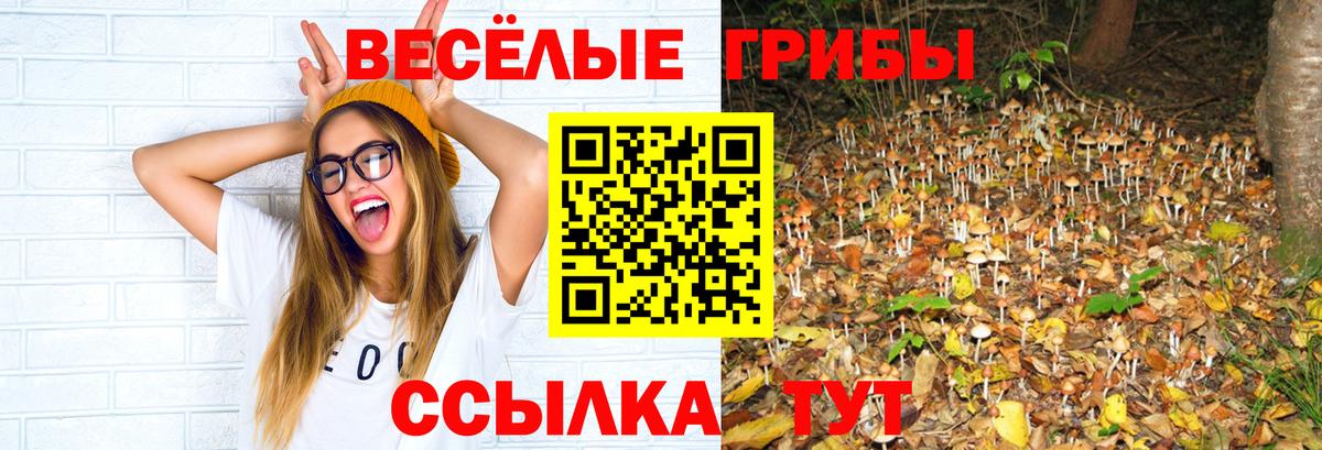 Галлюциногенные грибы мухоморы Янаул